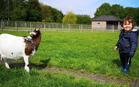 Buitenschoolse opvang Beestenboel foto 10