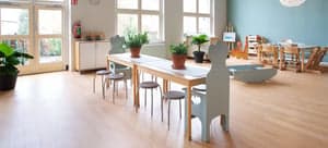 Doomijn BSO Roezemoes 2