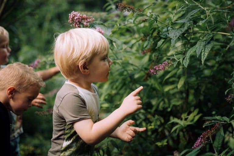 PO Norlandia kinderopvang, locatie Mariaschool foto 8