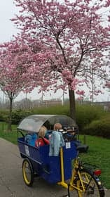 Ska Kindcentrum De Puntmuts foto 8