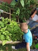 BSO Groningen De Wigwam foto 10