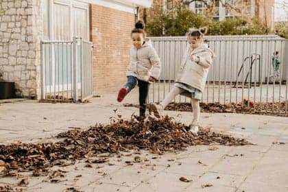 De Groeidroom foto 4