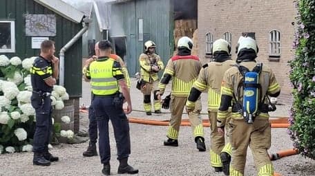 de Wilde Poema foto 7