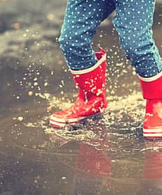 WildWoozt DVS foto 9