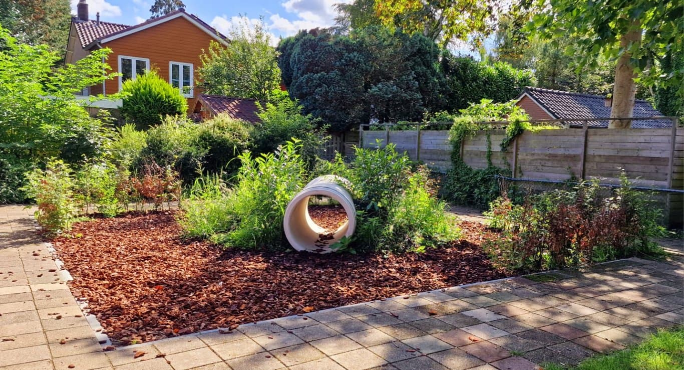 Peuterspeelgroep De Tulpenboom foto 6