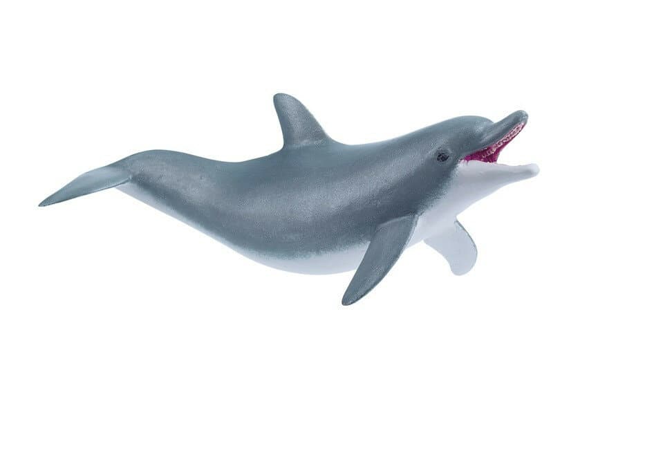 Dolfijn / Just 4 Kids 3