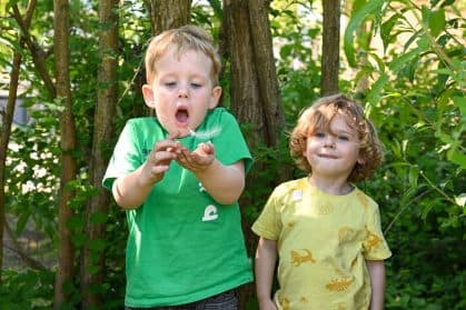 Wiedewei Ridderkerk 3