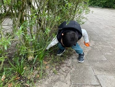 POV Klein Phoenix foto 6