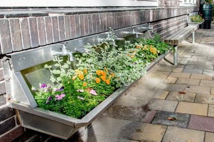 NSO Oostpoortwachter foto 7