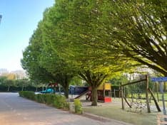 BSO Chapeau Neerijnen foto 5