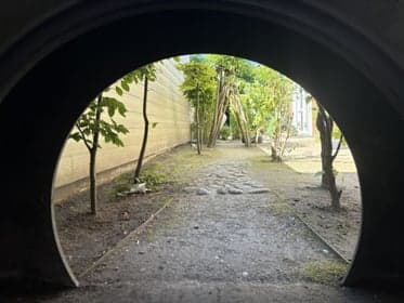 Dak Draaistraat foto 9