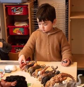 Kinderdagverblijf Bereboot foto 8