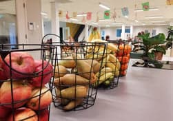 KDV Hoef en Haag foto 7