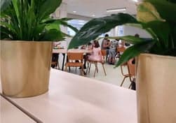 KDV Hoef en Haag foto 8