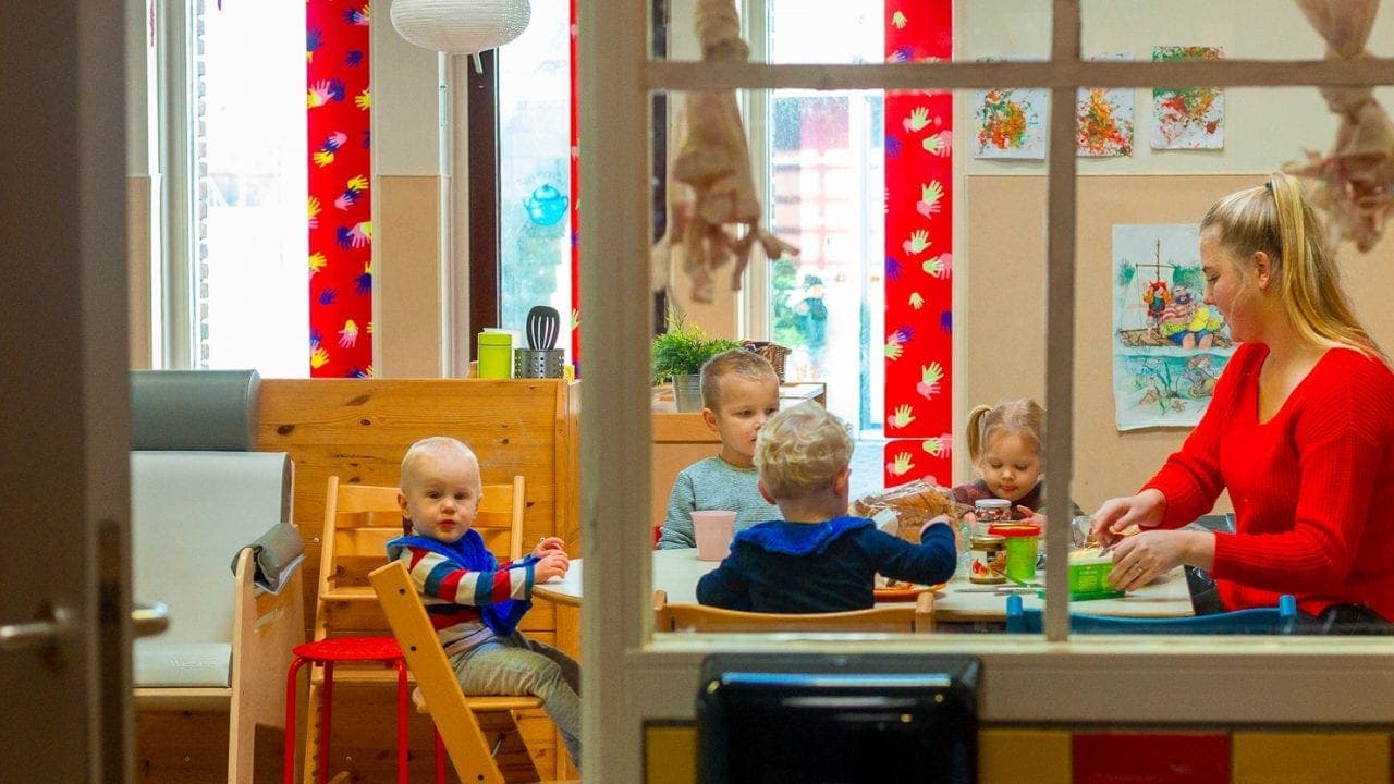 SKSG Ranonkel foto 7