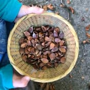 De Wolkenwagen foto 9