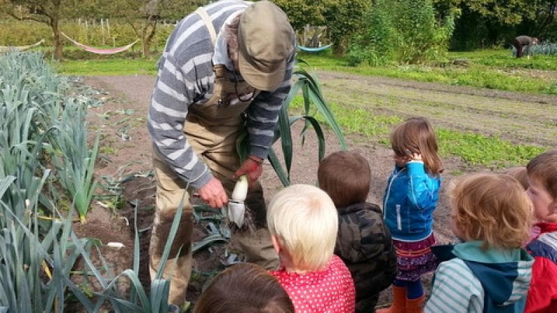 De Wolkenwagen foto 10