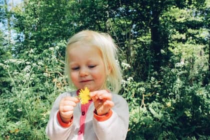 Amelis Buiten - Odyssee 2