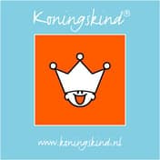 KDV Koningskind Kinderopvang Apeldoorn Centrum foto 7