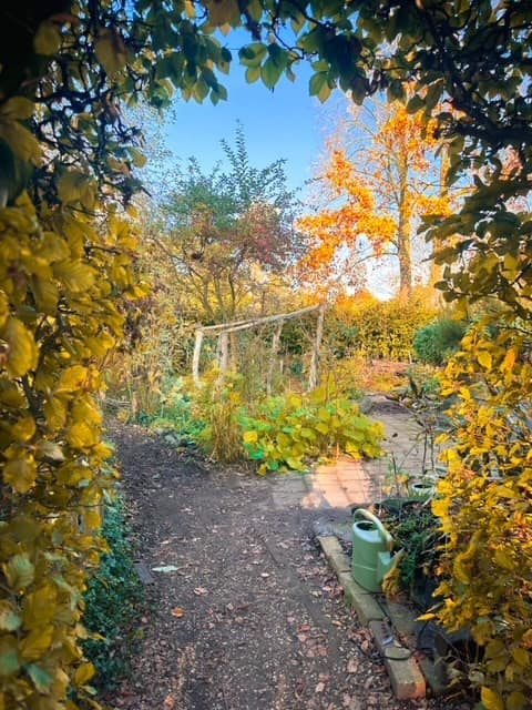 KDV De Kleine Prins foto 8