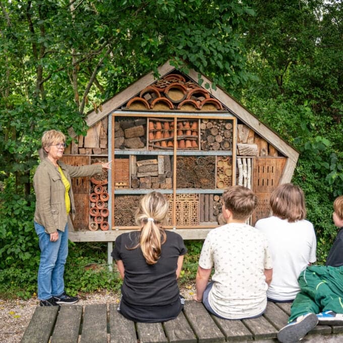 De Paddenpoel foto 4