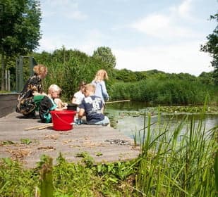 Ooievaarsnest foto 4