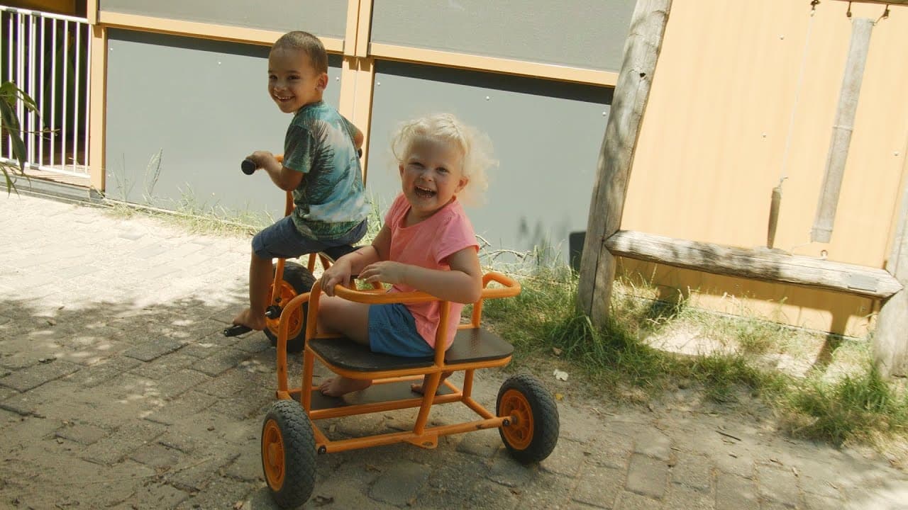 Ooievaarsnest foto 8