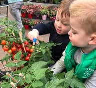 Kinderopvang De Cristallijn 2