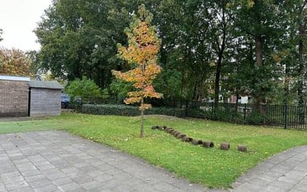 Spring in t Veld foto 5