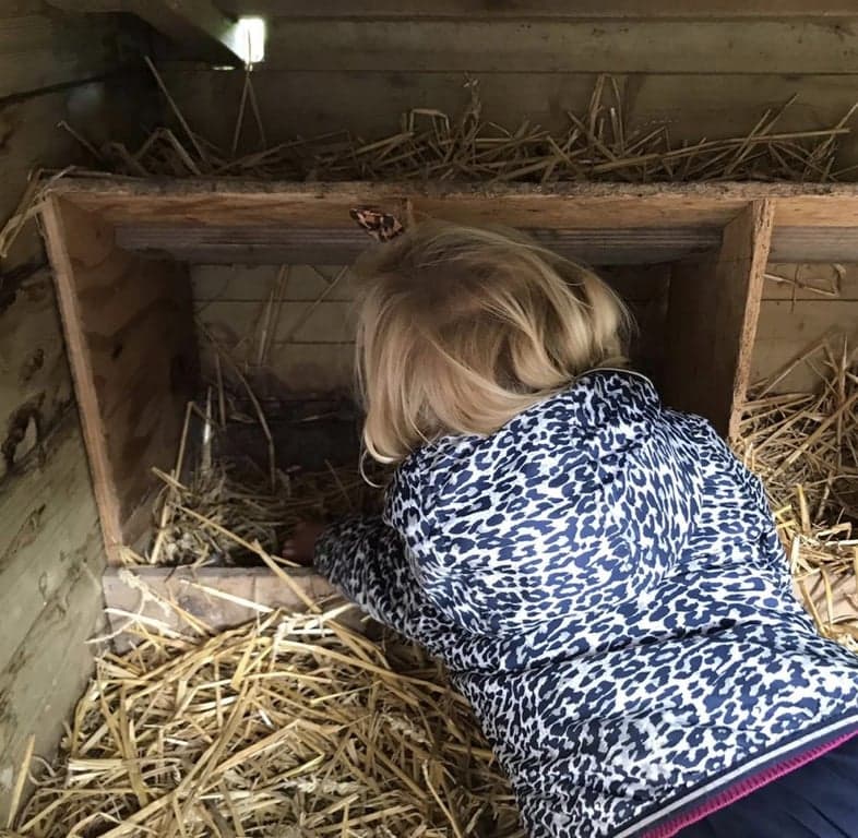 BSO Kool en Bosch foto 4