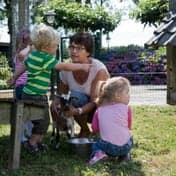 De Hummelhoeve foto 4