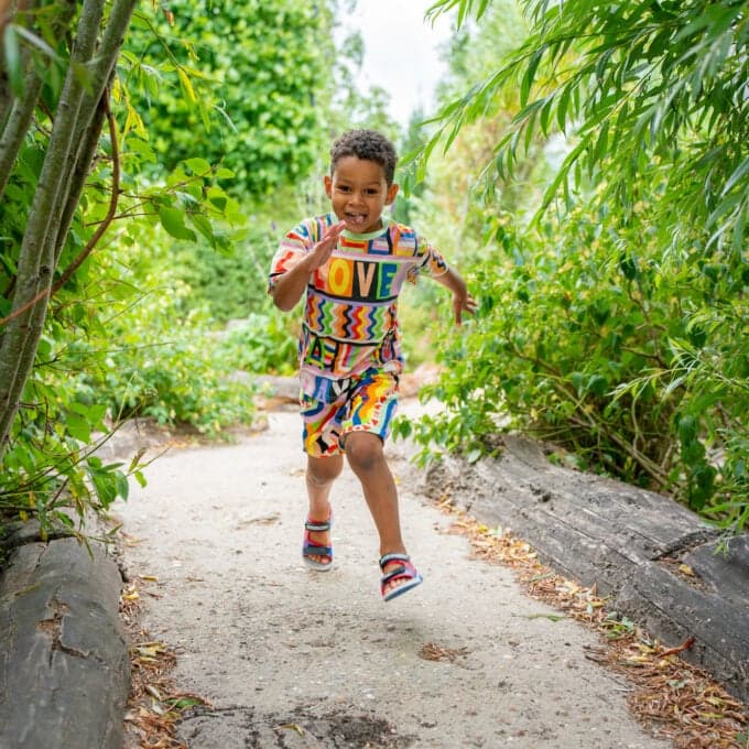 KDV Eilandrijk foto 5