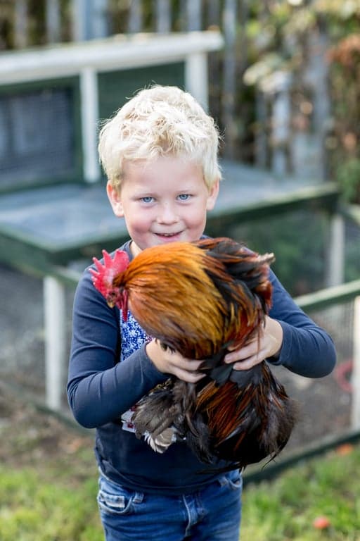 Filimo - Lanteerne foto 4