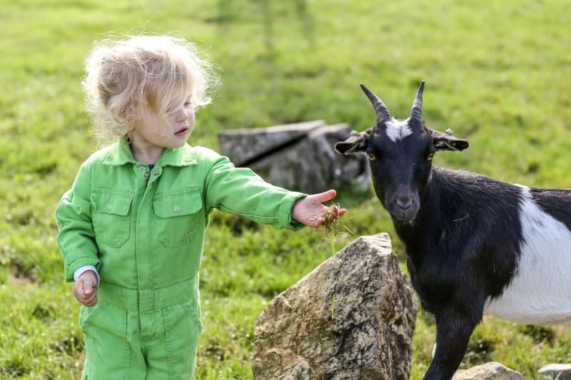 Kinderdagverblijf De Kei foto 5