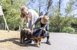 BSO De Roversbende foto 5