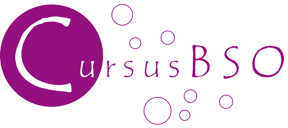 Cursus BSO