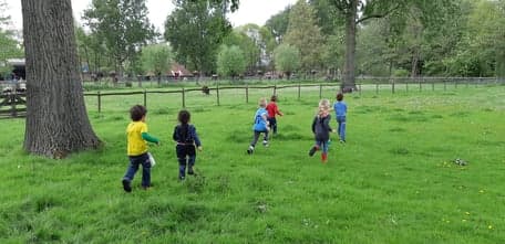 KDV Baloe Het Kasteel foto 8