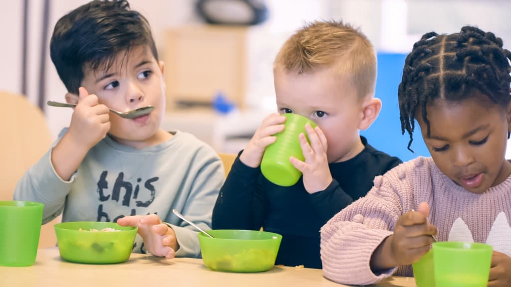 Kinderdagverblijf De Groene Tuin Slinge foto 5
