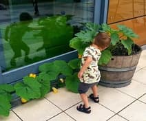 Fantaziehuis Papendorp KDV 3