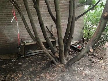 IK-OOK Borkel en Schaft foto 6