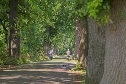 Vandaag POV Suwâld foto 4