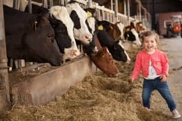 Kinderopvang Koetje Boe 2