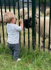 Het Ooievaarsnest foto 6