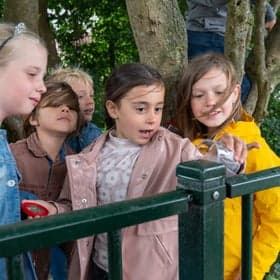 BSO De Pionier Op Stoom foto 10