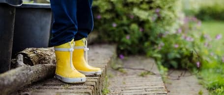 BSO de Lavendeltuin foto 6