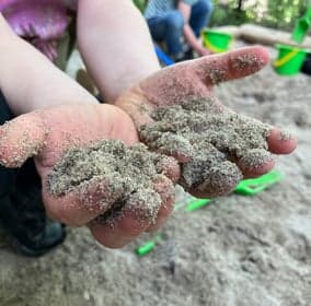 BSO de Lavendeltuin foto 10