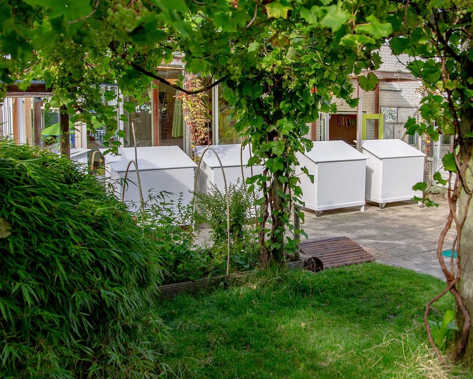 KDV De Aap uit de Mouw 3