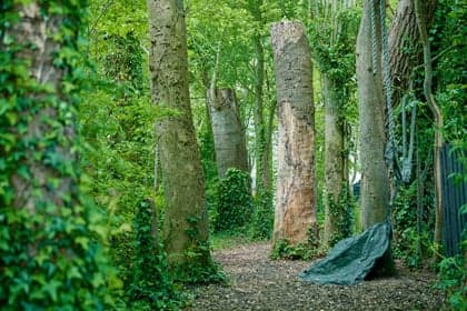 Kinderopvang Tjarietstee foto 6