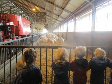 Agrarische Kinderopvang Het Groene Spoortje foto 9