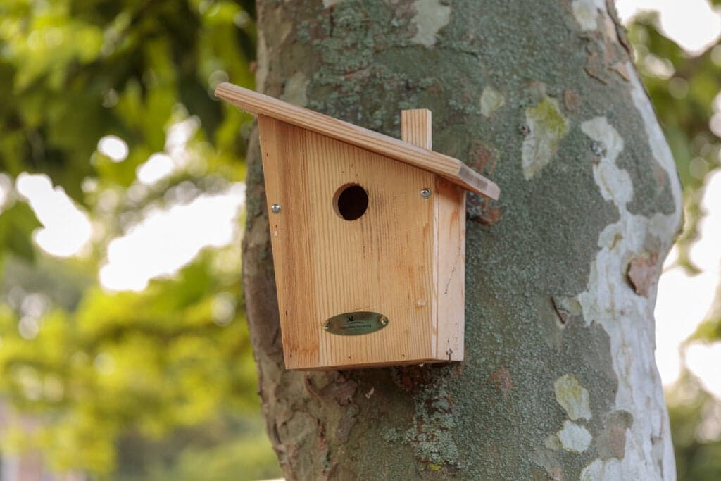 Kinderbolwerk foto 4